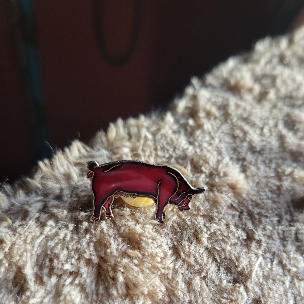 Vintage Red Pig Boar Broach Pin